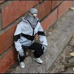 Meet your Posher, Kevin